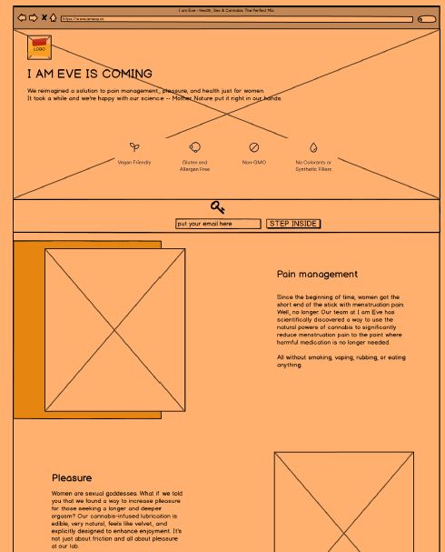 Wireframe example