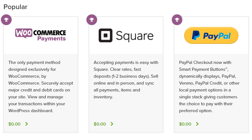 WooCommerce payment gateway connection